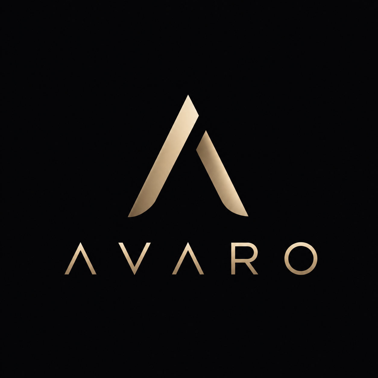 Avaro Gym